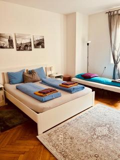 Comfortable&Cozy apartment in the heart of Prague - 4