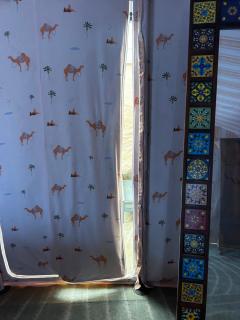 Desert cactus camp Jaisalmer - 7