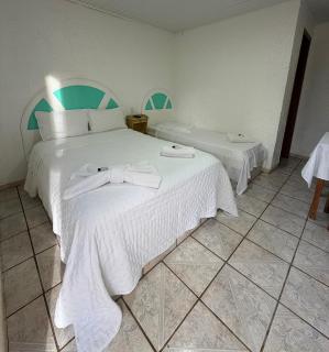 Hotel empresarial HARRY WORLD - 0