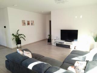 Gemütliche Wohnung mit Terrasse nahe Würth - 1