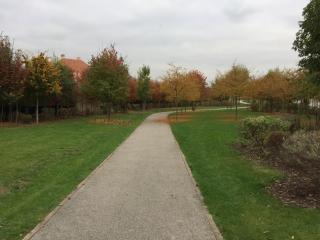 koechi - Magny-le-Hongre - 3