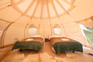 Paradise Ranch Inn - Lucky Tent - 8