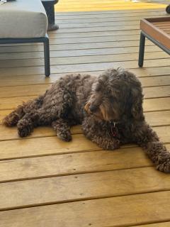 Historic Barn Loft - Private & Spacious - 8