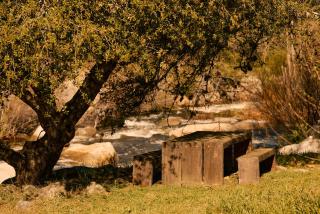 Paradise Ranch Inn - Liberated Tent - 5