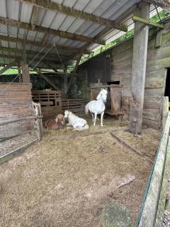 La bulle étoilée - 5