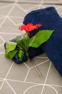 Piscine et Vue Mer - F2 Cosy - Anse à l'Âne, 3-Îlets - Plage 5 min - 5