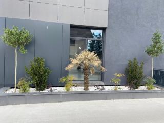 Apartament 3 camere Vâlcea - 8