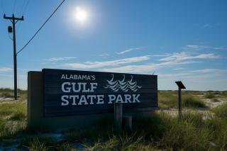 Beach Walk 18 Close to State Park Private Pool Free Parking Beach Access - 6