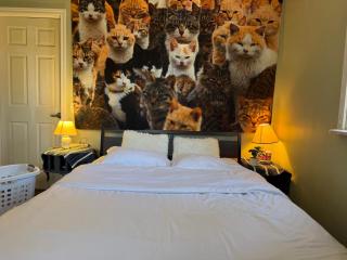 Cozy Quirky 1 Bedroom Retreat on Canada Street All Inclusive - 7