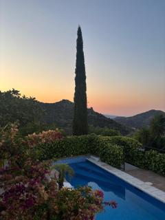 Finca Los Arcos - 1