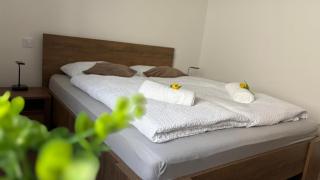 Malomfészek Apartman - 5