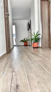 Malomfészek Apartman - 1