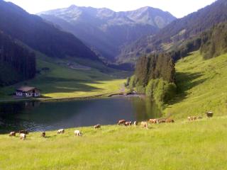 Chalet Ursteinhütte - Kelchsau - 5