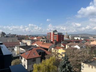 Central Comfort Studio with Free Parking - 8