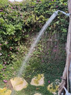 קרוואן משקיף לים - 8