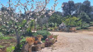 Residenza Anima Mediterranea - 7