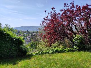 Unter dem Blauregen - 0