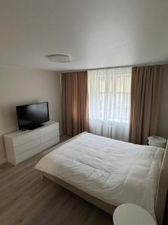 Світла, тепла, комфортна 2 кімнатна квартира в центрі, Бульвар Шевченка - 7