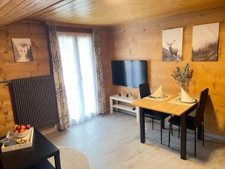 Ferienwohnungen Allalinblick - 80 Meter zur Talstation - 1