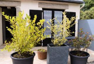 Résidence M100-perros Guirec - Maison avec jardin clos à Perros Guirec MAE-3524 - 3