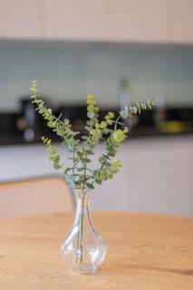 Descubre el Encanto de Las Condes en este Studio - 3