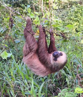 Studio House Bluff Beach, Panama Steps to Beach - 7