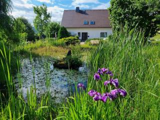 Gästehaus Teichmann Königstein Sächsische Schweiz - 3