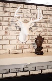Dolly Varden Cottage - Kings Beach - 4