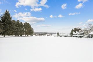 Village Green 4D - 1