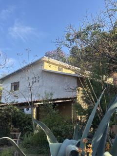 Habitación acogedora con vista al jardín - 1