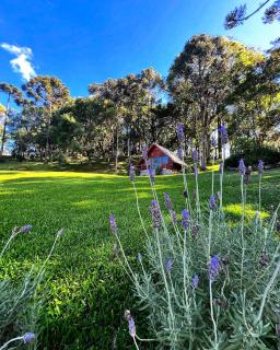 Refúgio do Lago - 2