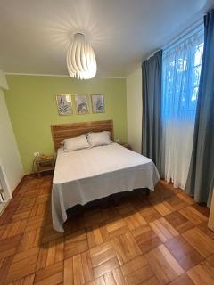 Comfortable semi-basement apartment in Providencia - 5