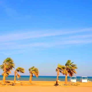 Two-bedroom apartment, ground floor, overlooking the sea - 8