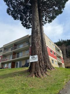 Seaview Condo suite 313 - 5