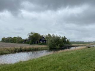 de Sedyk - 1