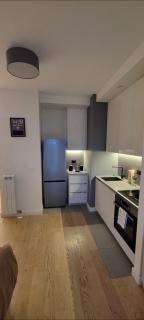 BW Metropolitan apartman 1308-with a view of the river and free garage parking - 7