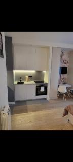 BW Metropolitan apartman 1308-with a view of the river and free garage parking - 8