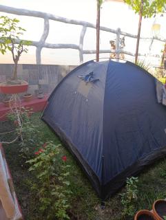 Los Olivos Tent Camp - 7