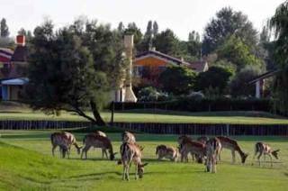 unit_type_semidetached_house Isola di Albarella 57628 - 8