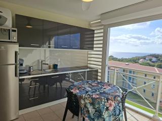 Studio vu sur les caraïbes - 9