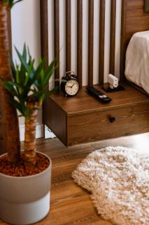 Eliss Studio Sinaia - 2