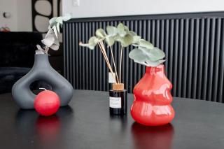 SANTA FE Red Beautiful Apartment! - 7