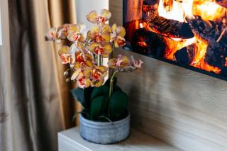 Elma - Old Town, Piata Unirii - 1