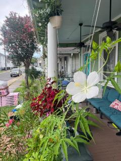 Lovely Mid-City 2-Bedroom - 3