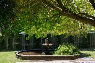 Salisbury Quiet Communal Garden - Le Cap - 8