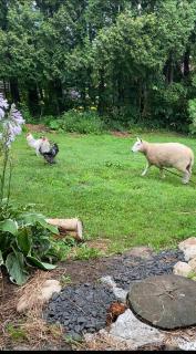 Yubari Forest Farm BandB - 2