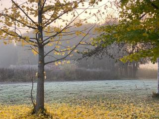 Yubari Forest Farm BandB - 1