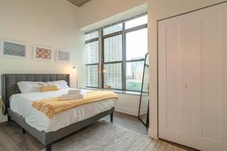Luxury 2BR Suite with Optional Parking and Gym access Near McCormick Place and Soldier Field - 9