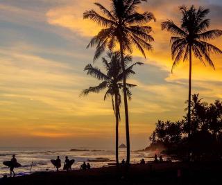 The Rosemary House - 6