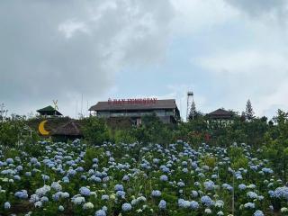 EBAN FARMSTAY- Măng đen - 1